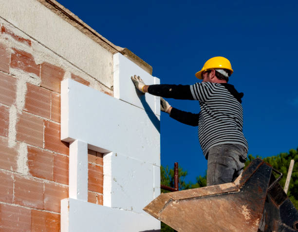 Best Insulation Maintenance and Repair in Wooster, AR