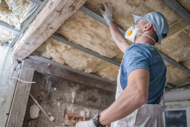 Types of Insulation We Offer in Wooster, AR
