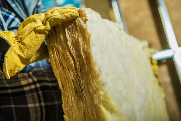 Best Specialized Insulation Services in Wooster, AR